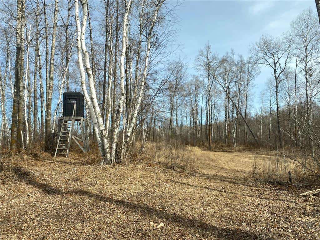 40 Acres of Hunting Land w/ Cabin For Sale in Askov MN UC Hunting