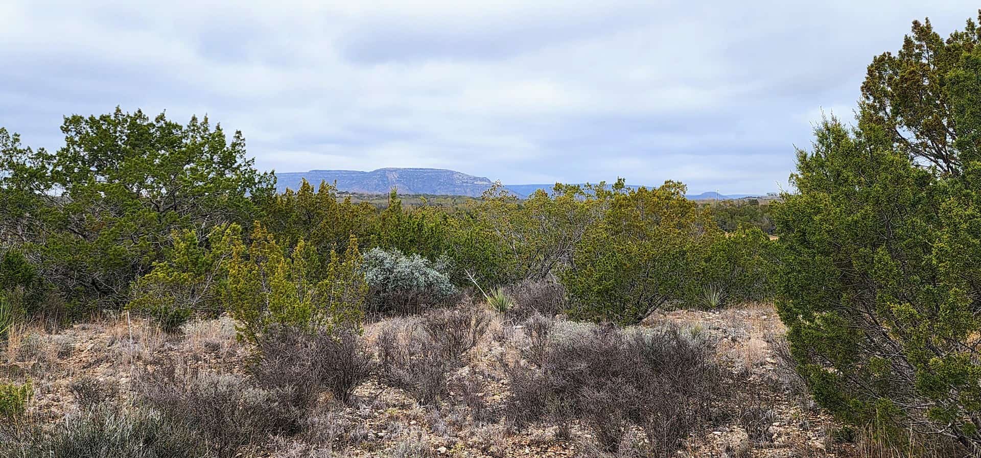 West Texas Hunting Ranch for sale near San Angelo & Midland