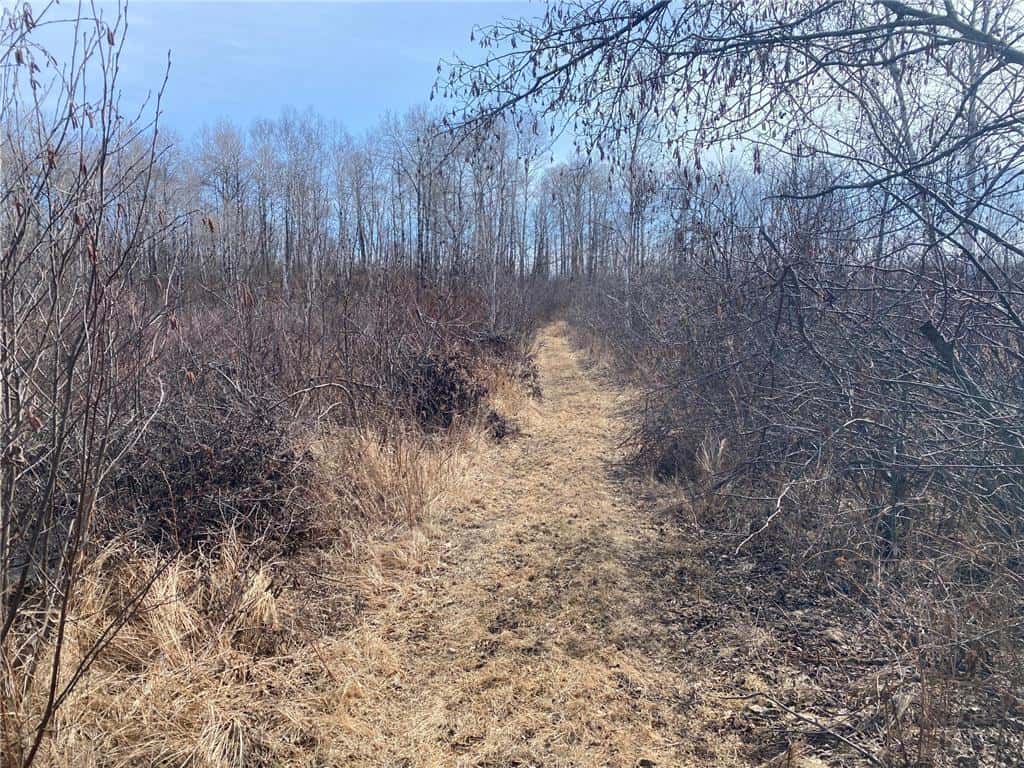 40 Acres of Hunting Land w/ Cabin For Sale in Askov MN UC Hunting