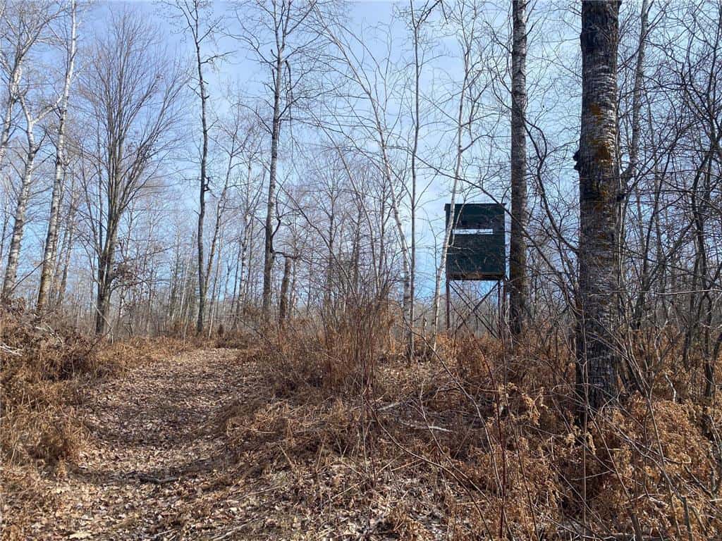 40 Acres of Hunting Land w/ Cabin For Sale in Askov MN UC Hunting