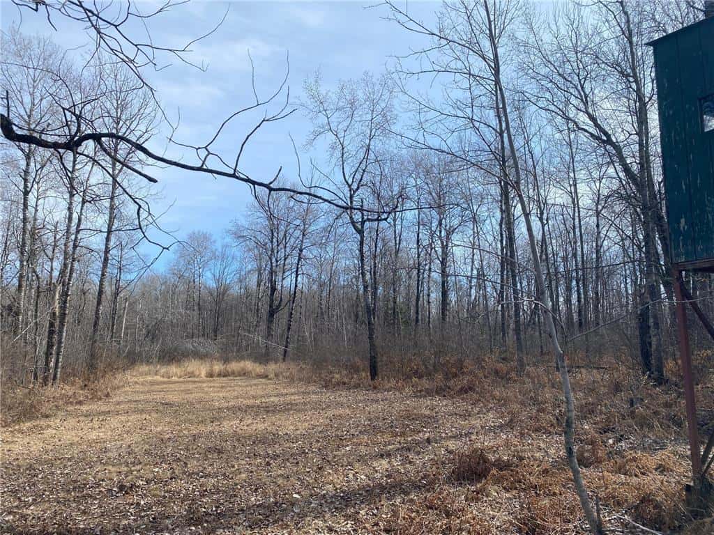40 Acres of Hunting Land w/ Cabin For Sale in Askov MN UC Hunting