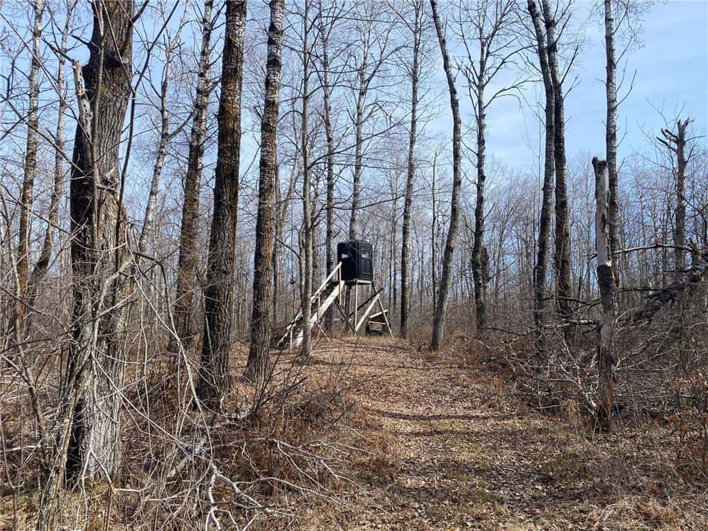 40 Acres of Hunting Land w/ Cabin For Sale in Askov MN UC Hunting