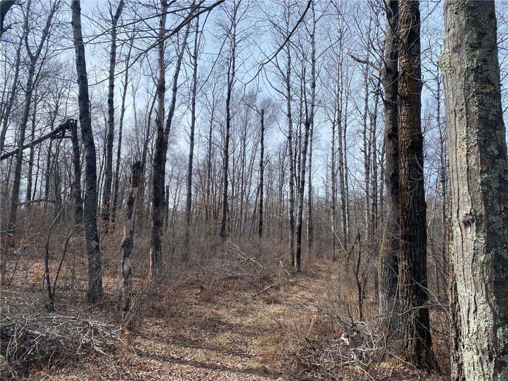 40 Acres of Hunting Land w/ Cabin For Sale in Askov MN UC Hunting
