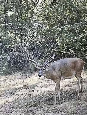 Hunting Land For Sale with Lodge in Franklin County MS