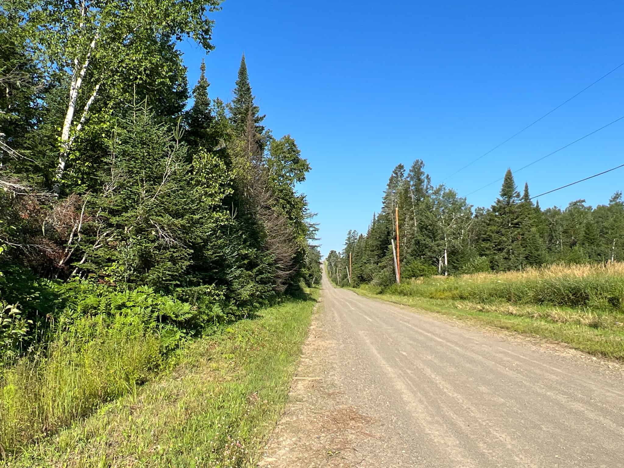 Clayton Brook Forest
