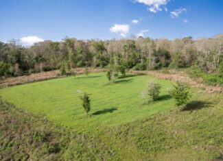 463 Acres Timberland on Tickfaw River St Helena Parish, LA