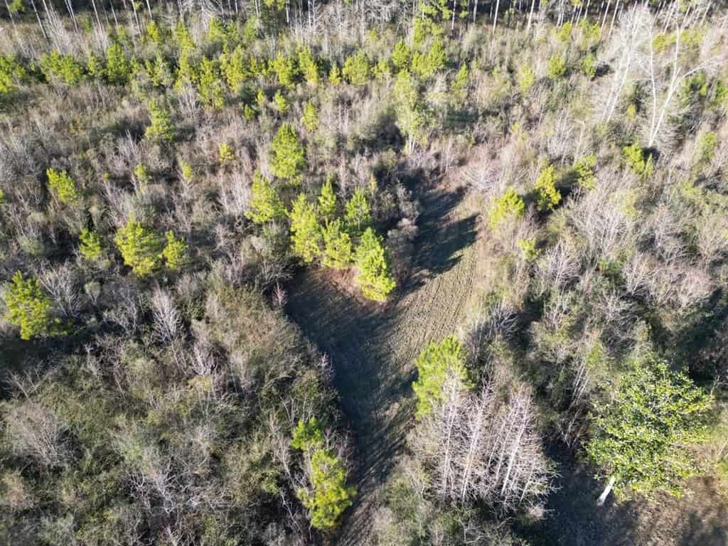 Hunting Land For Sale with Lodge in Franklin County MS