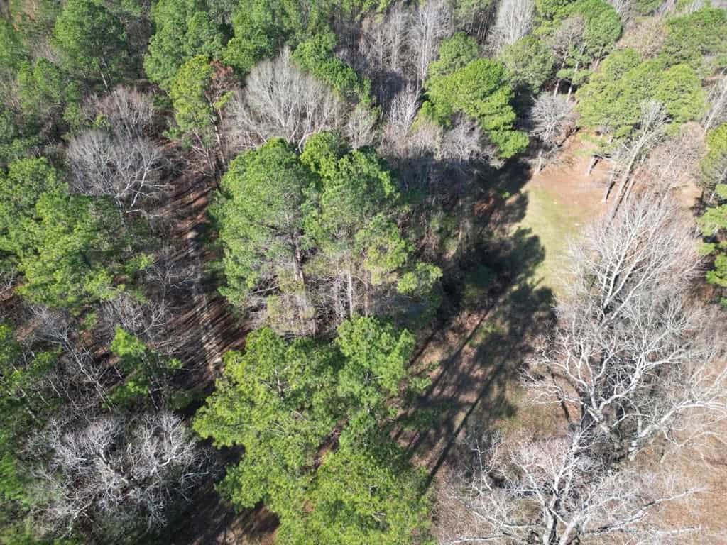 Hunting Land For Sale with Lodge in Franklin County MS