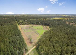 340 Acres Hunting Timberland for Sale St Helena Parish, LA