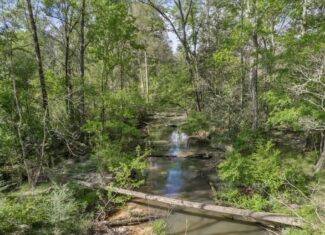 463 Acres Timberland on Tickfaw River St Helena Parish, LA