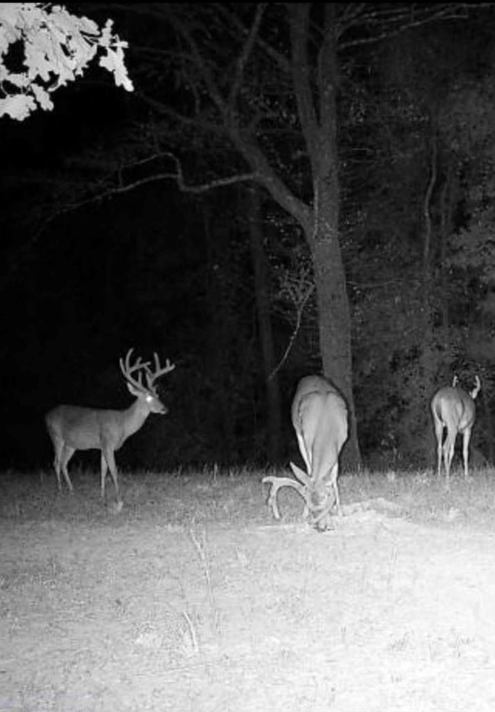 Hunting Land For Sale with Lodge in Franklin County MS