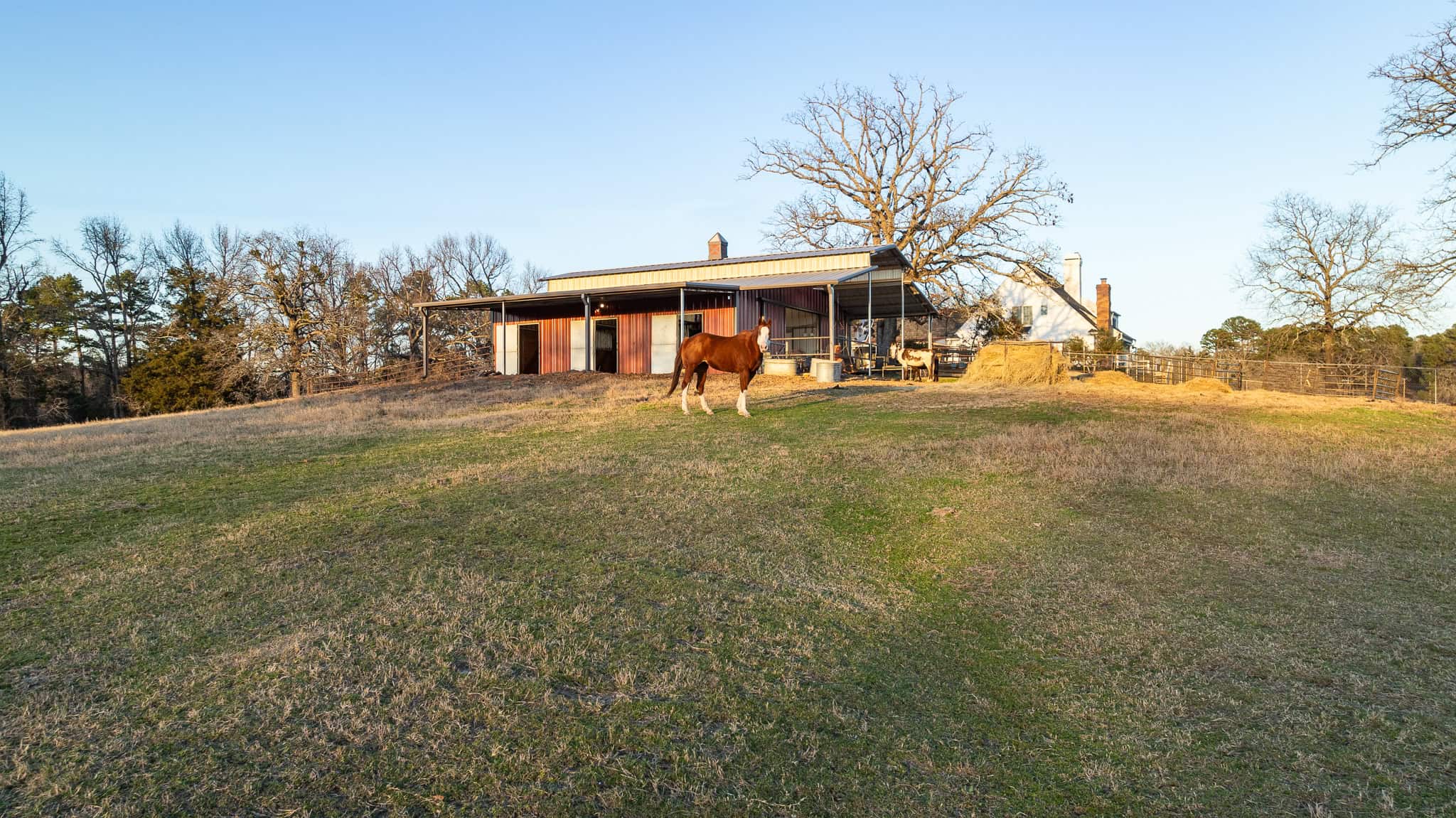 Texas Legacy Ranch for Sale – Hunting Fishing Horses Cattle