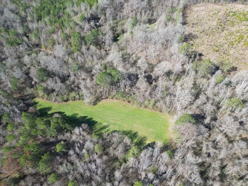 Hunting Land For Sale with Lodge in Franklin County MS