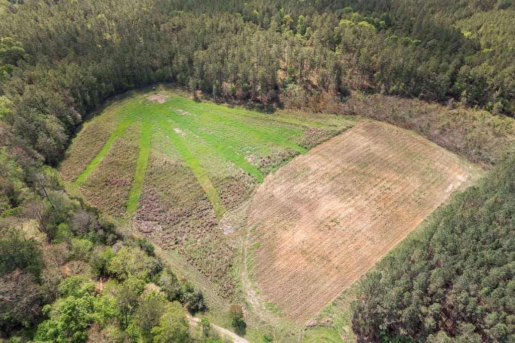 340 Acres Hunting Timberland for Sale St Helena Parish, LA
