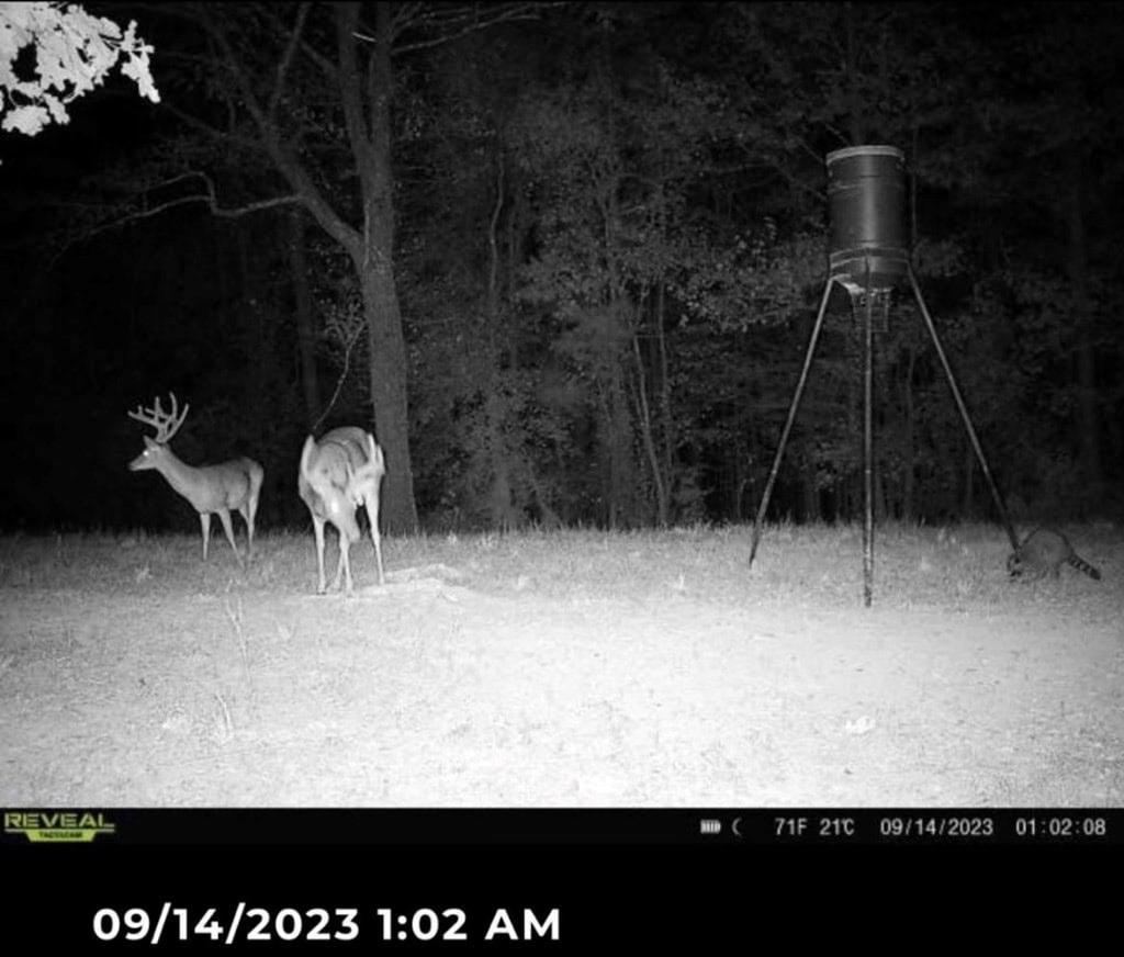 Hunting Land For Sale with Lodge in Franklin County MS