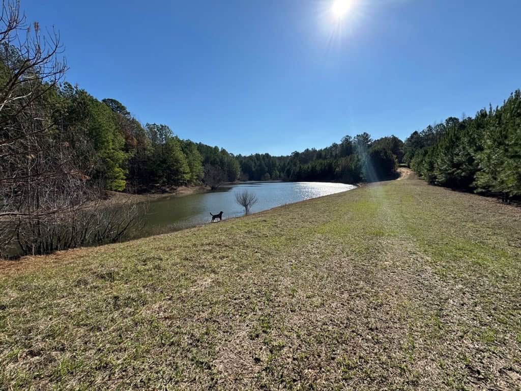 Hunting Land For Sale with Lodge in Franklin County MS