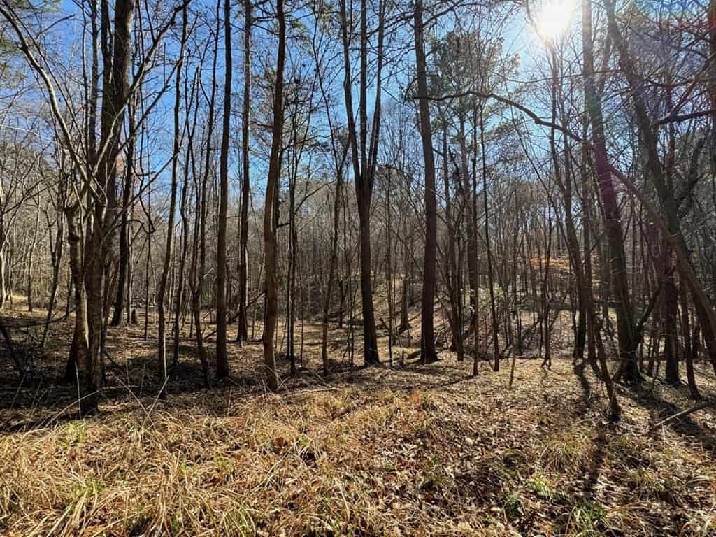 Hunting Land For Sale with Lodge in Franklin County MS