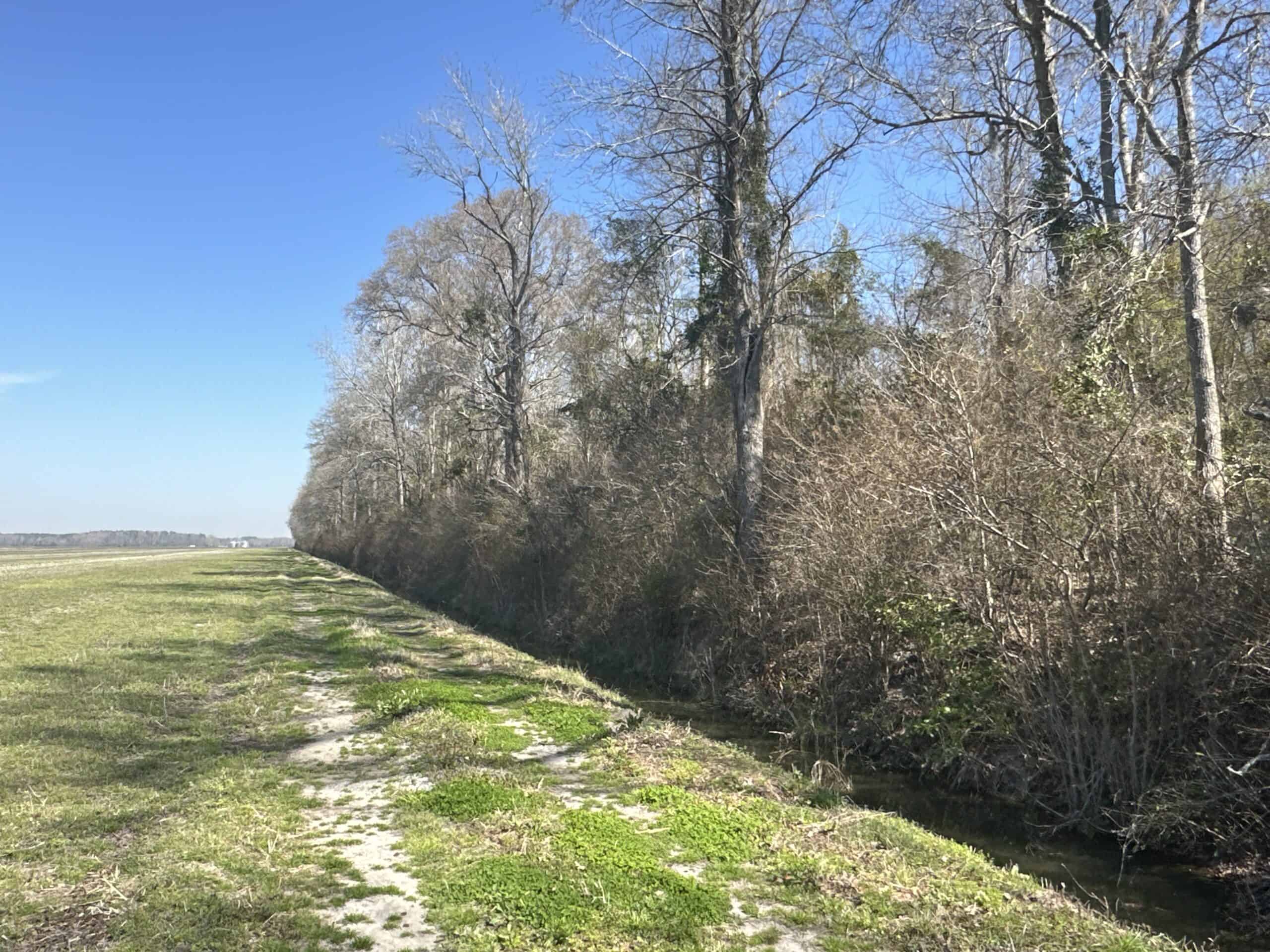 146-Acre Prime Hunting & Timber Land for Sale in Beaufort County, NC