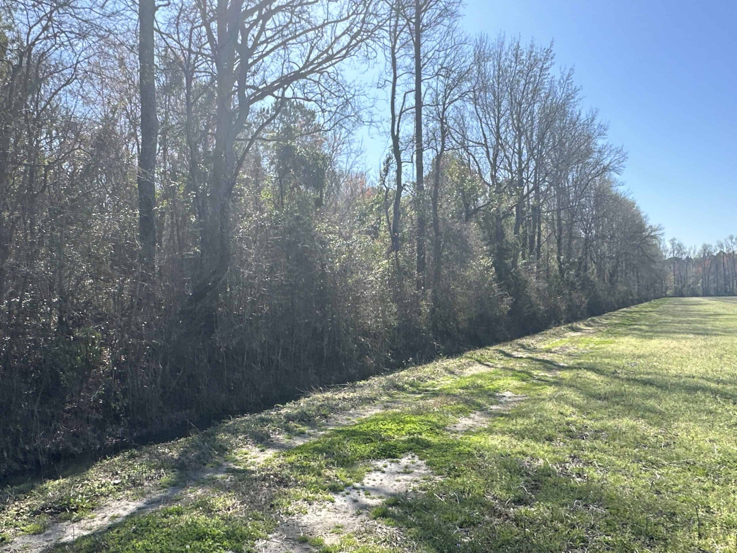 146-Acre Prime Hunting & Timber Land for Sale in Beaufort County, NC