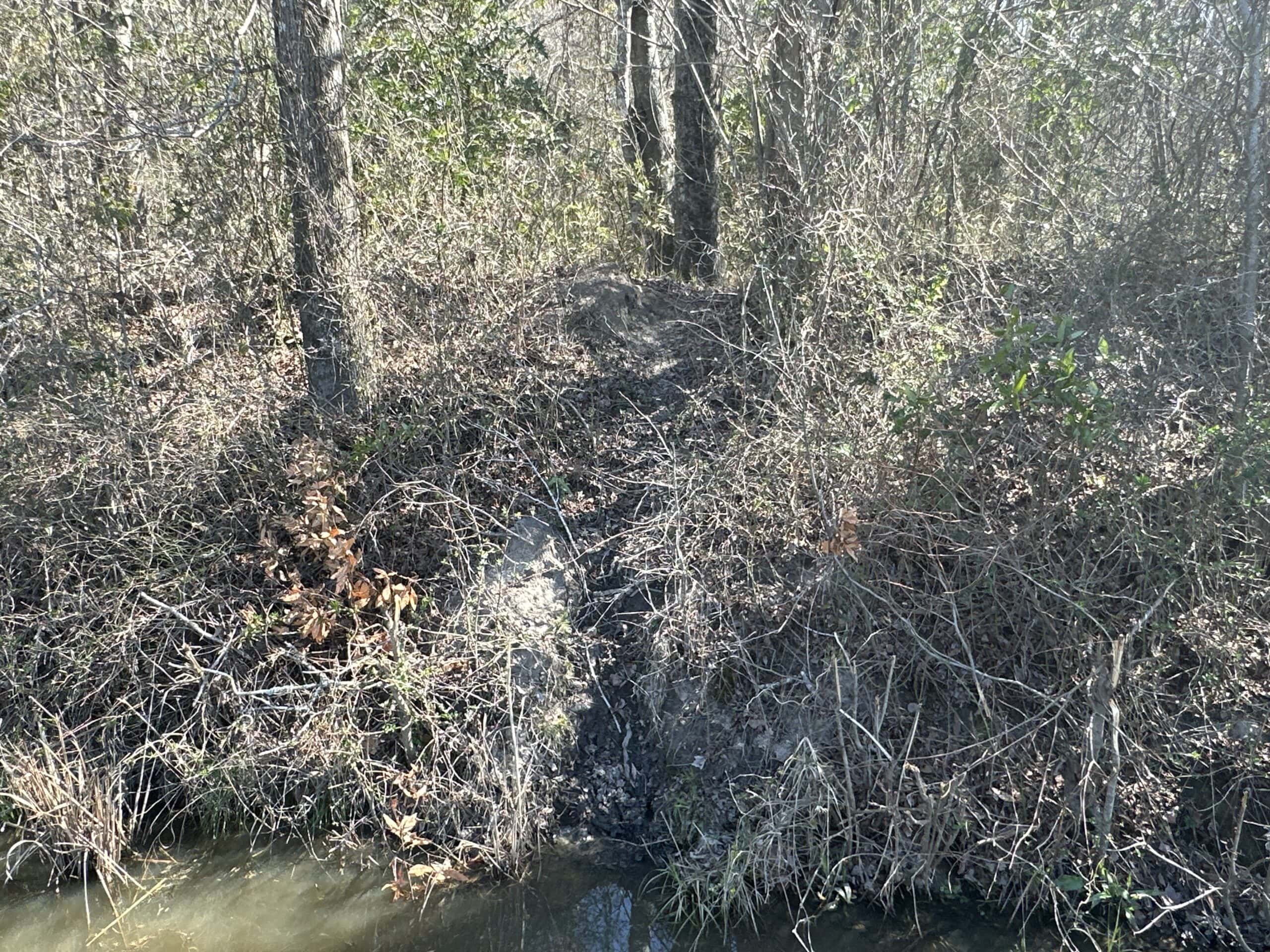 146-Acre Prime Hunting & Timber Land for Sale in Beaufort County, NC