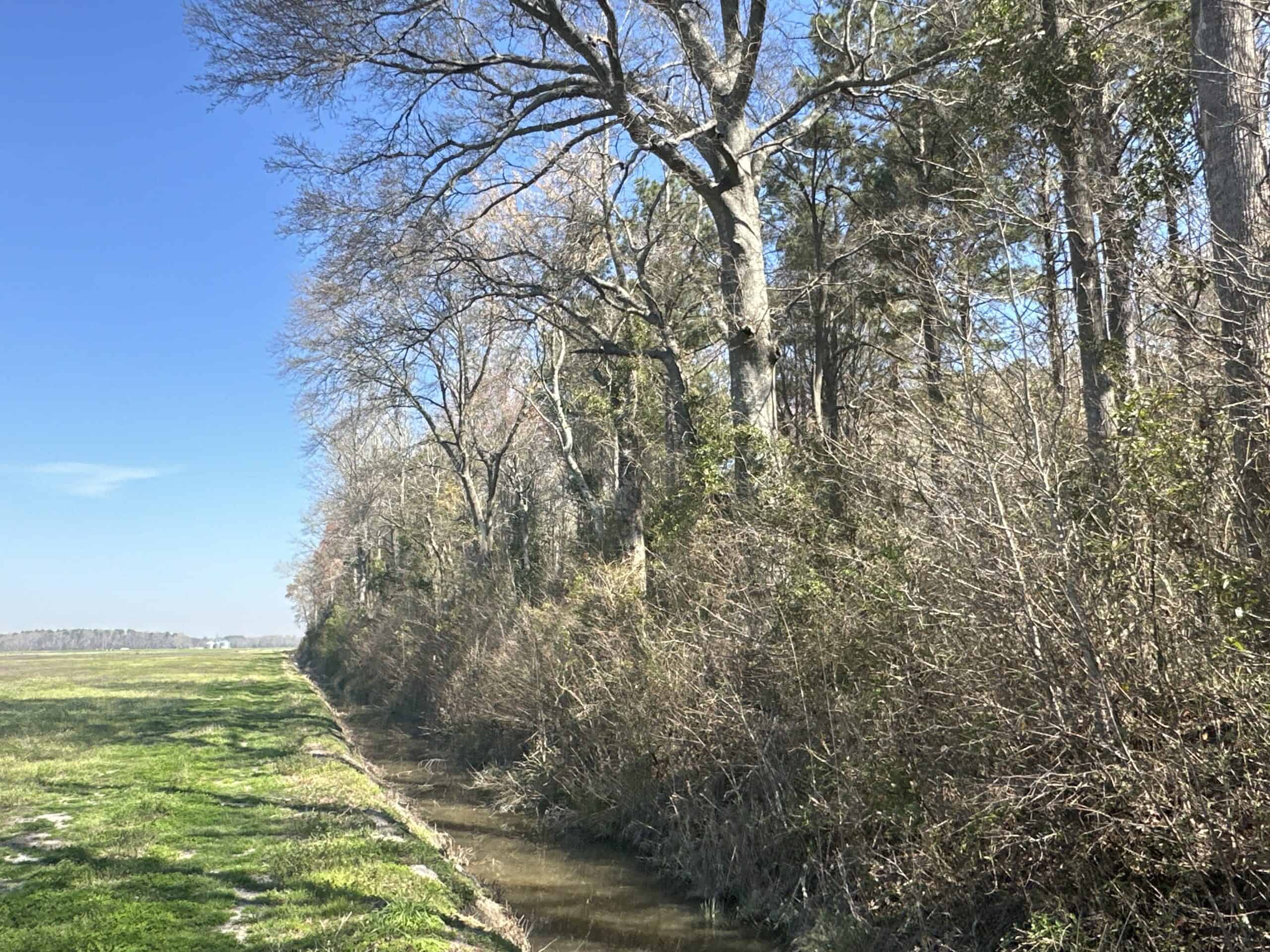 146-Acre Prime Hunting & Timber Land for Sale in Beaufort County, NC