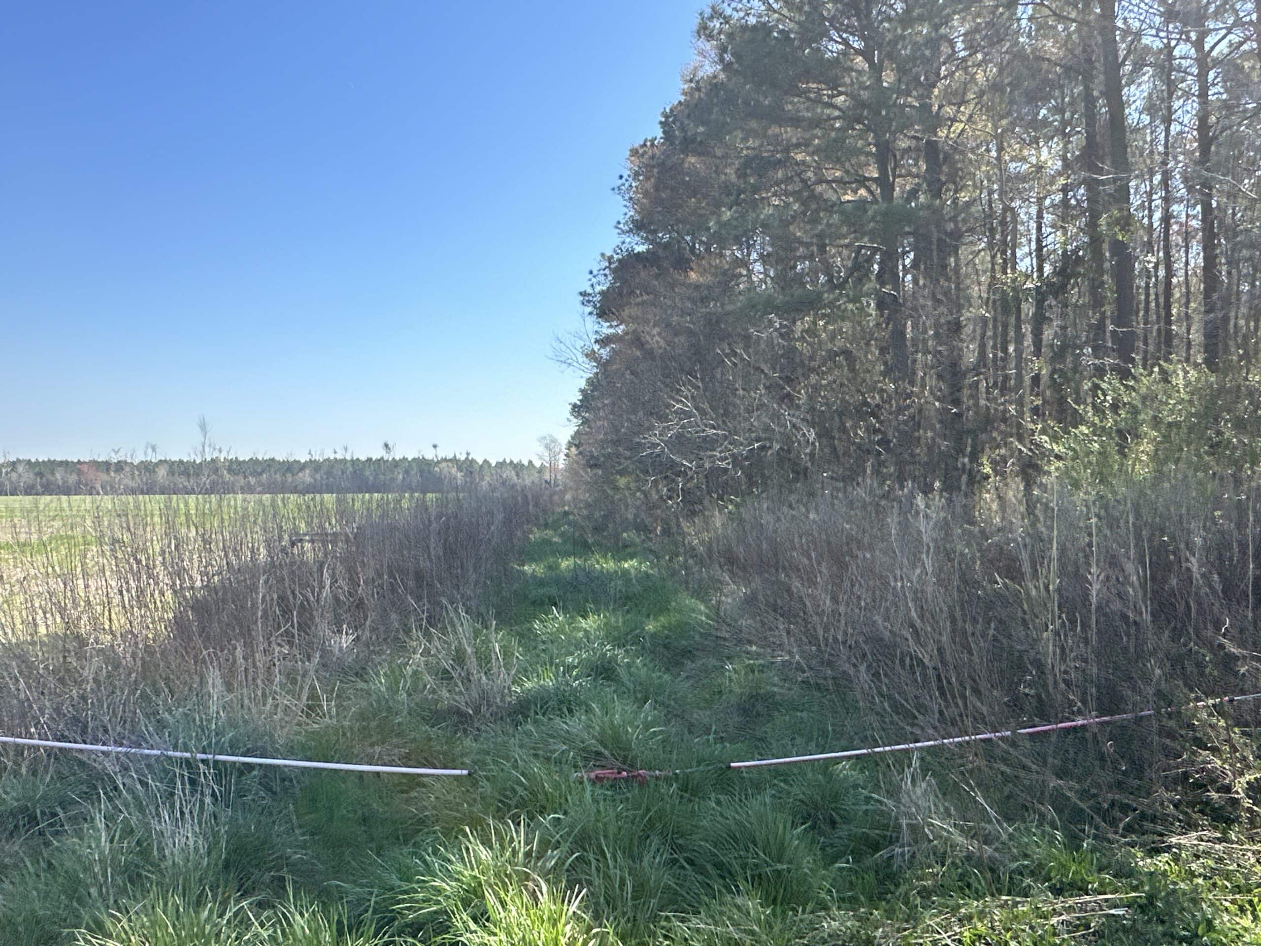146-Acre Prime Hunting & Timber Land for Sale in Beaufort County, NC