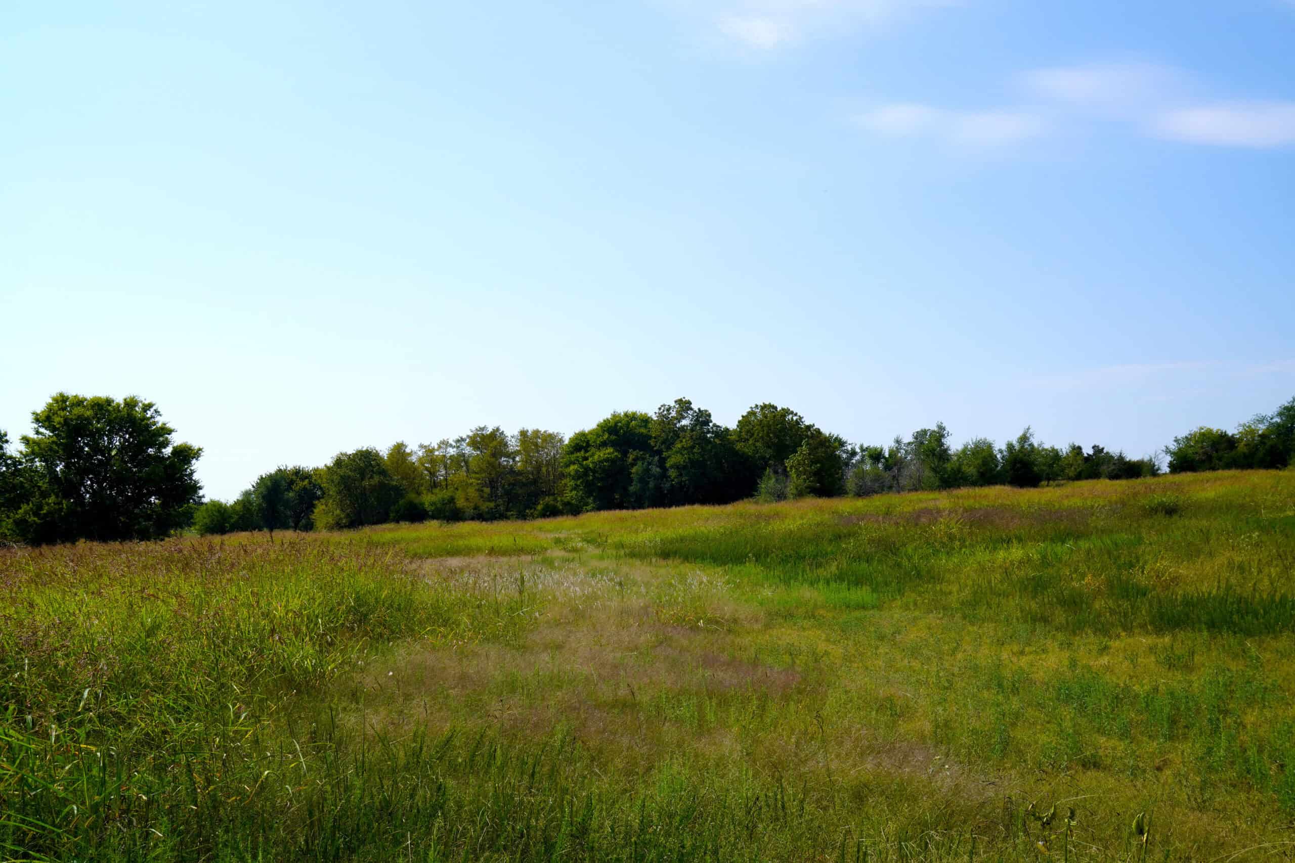 Recreational Hunting & Hay Property For Sale, Stroud, OK UC Hunting