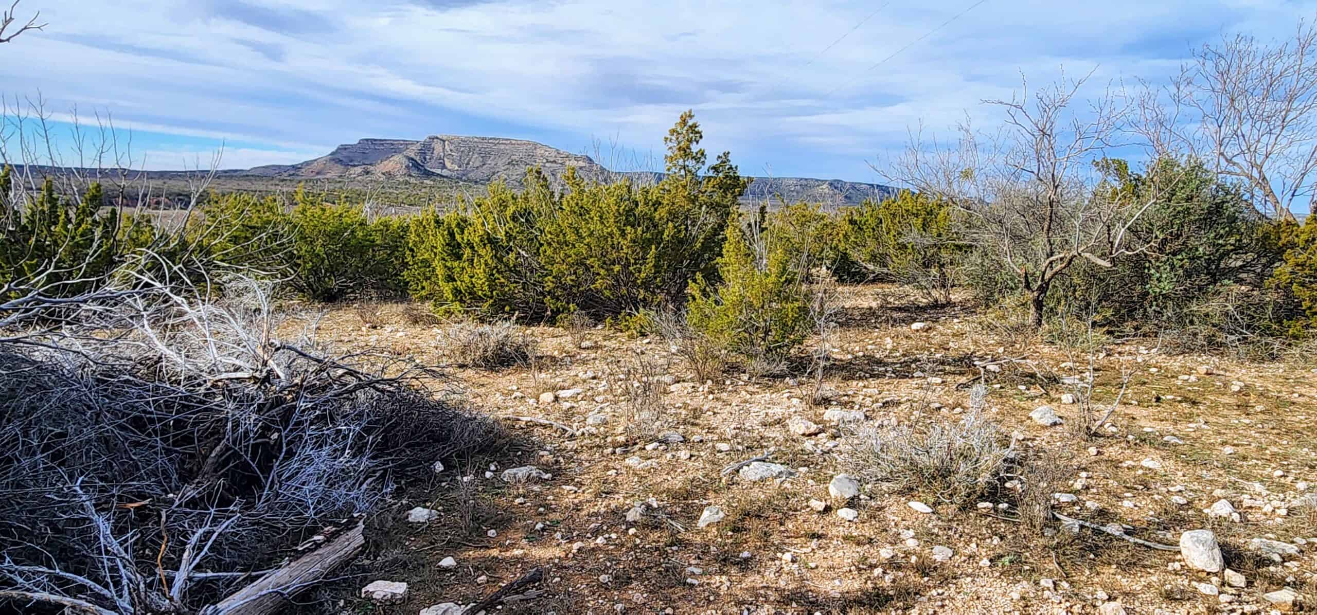 West Texas Hunting Ranch near San Angelo, Midland, and Abilene UC