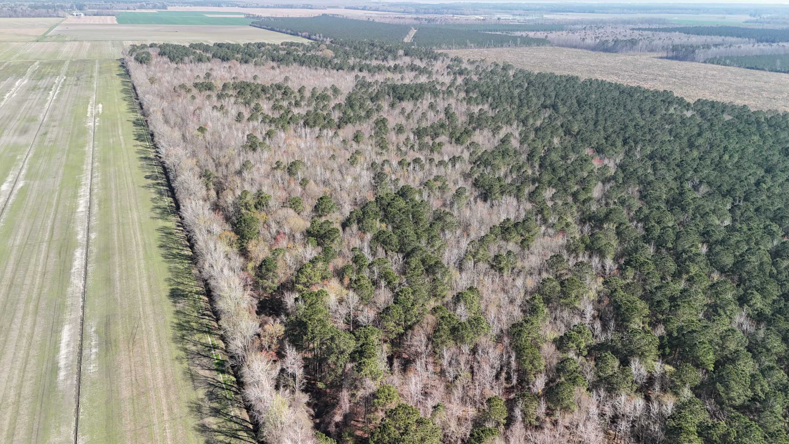 146-Acre Prime Hunting & Timber Land for Sale in Beaufort County, NC