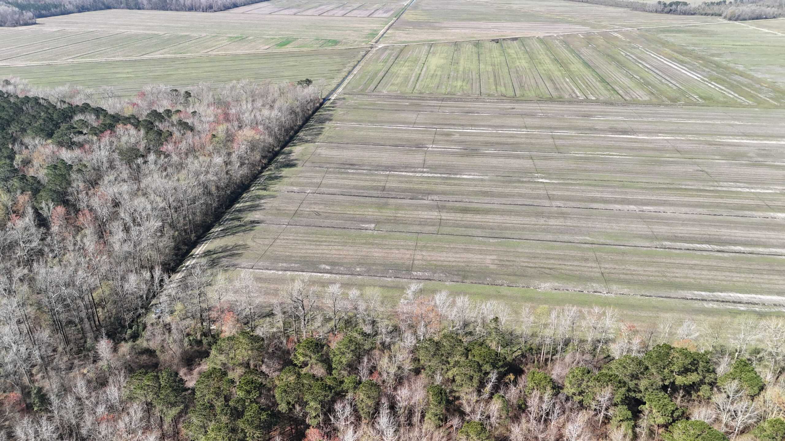 146-Acre Prime Hunting & Timber Land for Sale in Beaufort County, NC