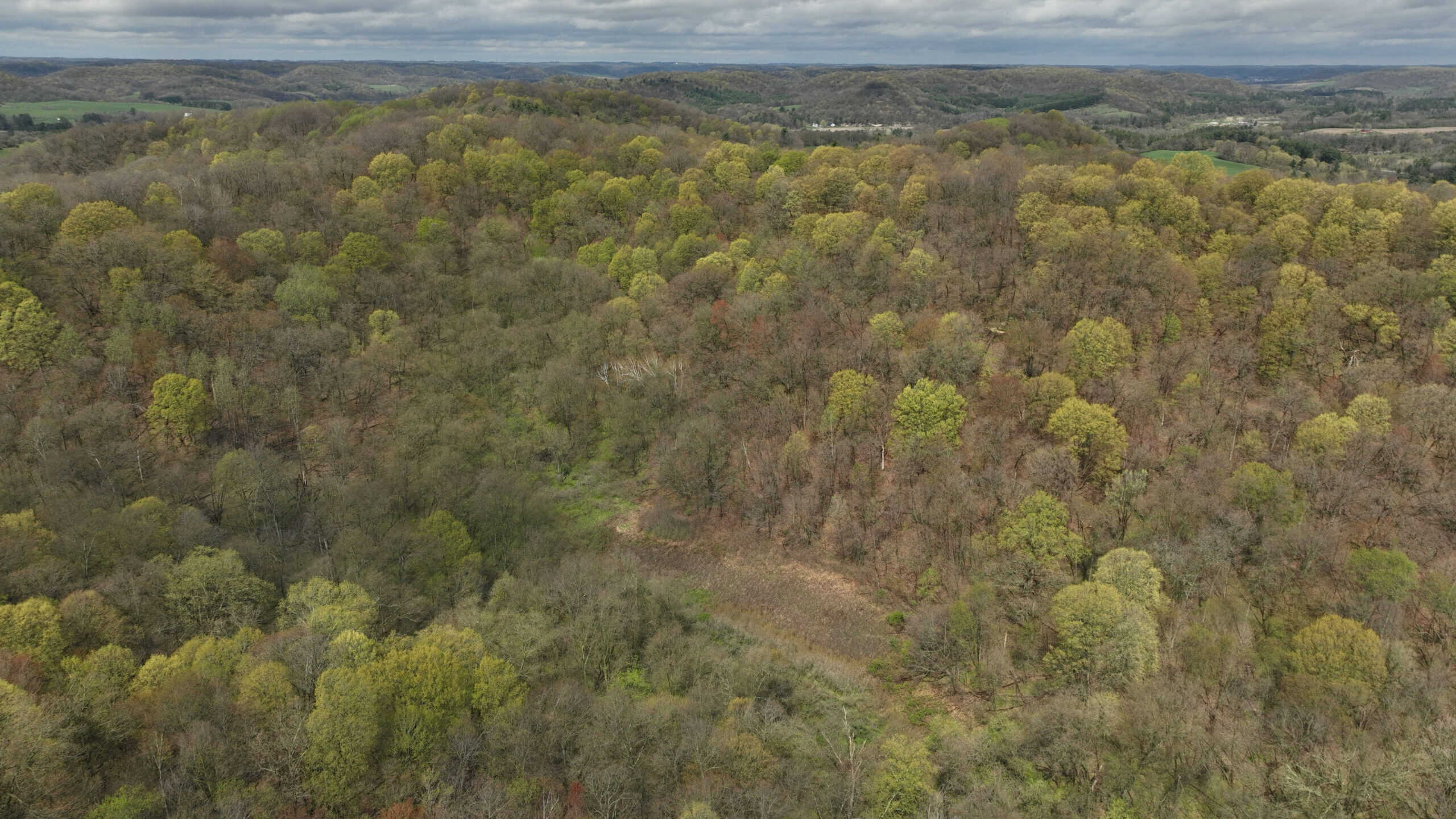 Hunting Land for sale in Richland County, Wisconsin UC Hunting Properties