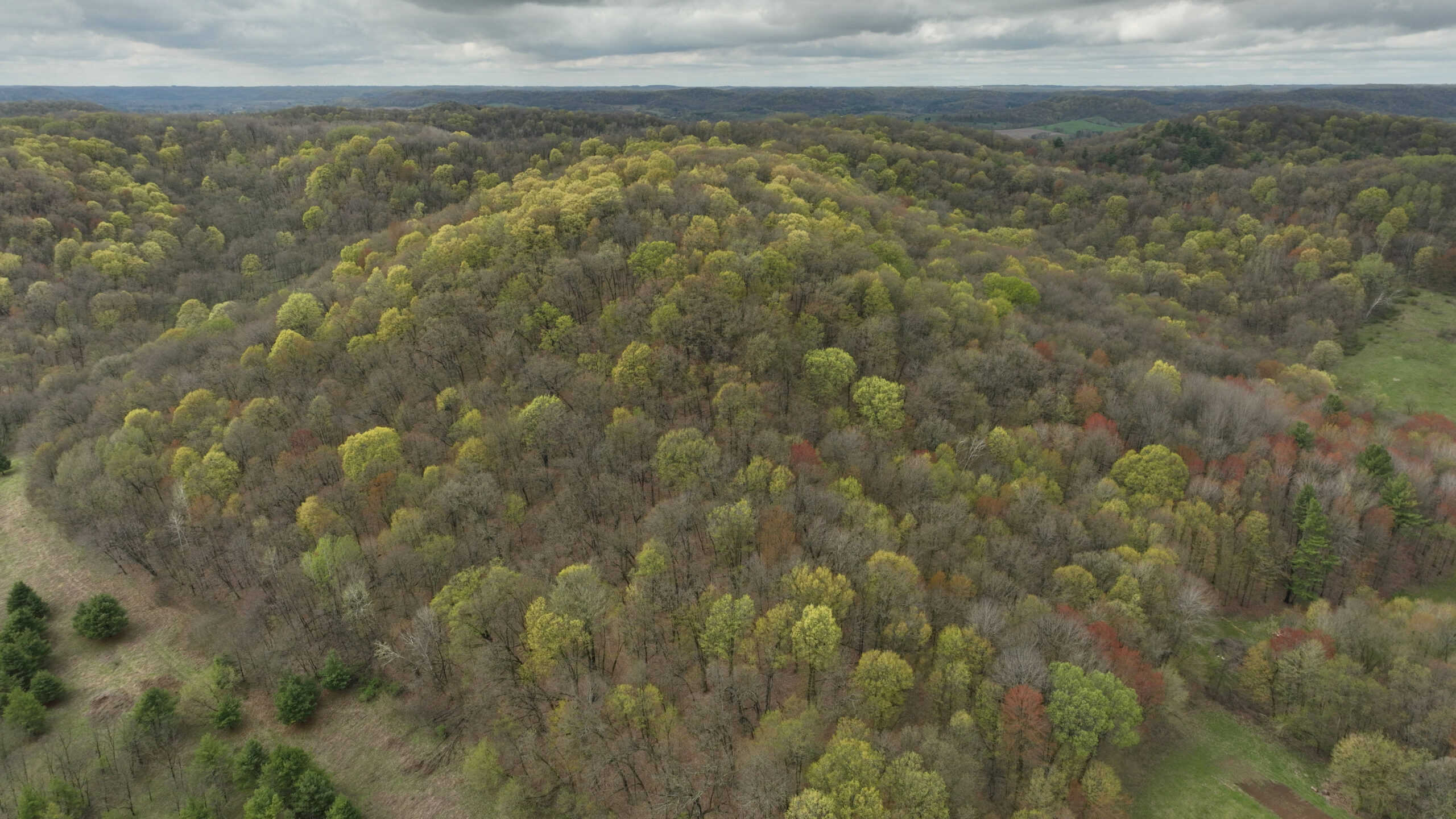 Hunting Land for sale in Richland County, Wisconsin UC Hunting Properties