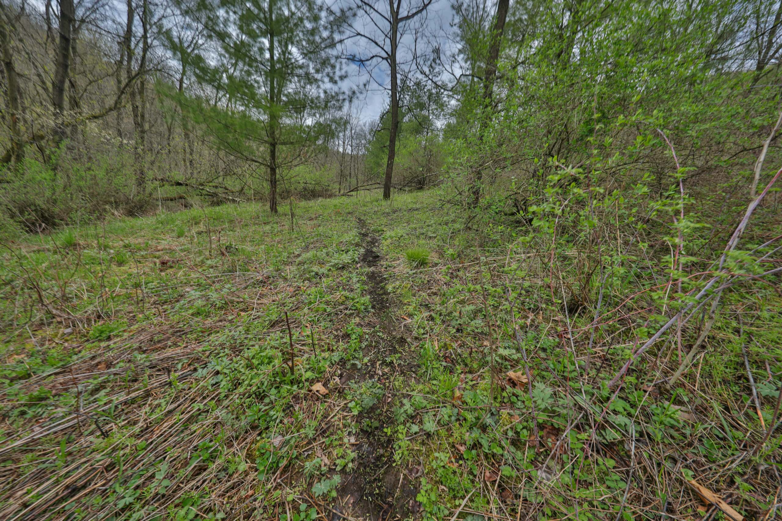 Hunting Land for sale in Richland County, Wisconsin UC Hunting Properties