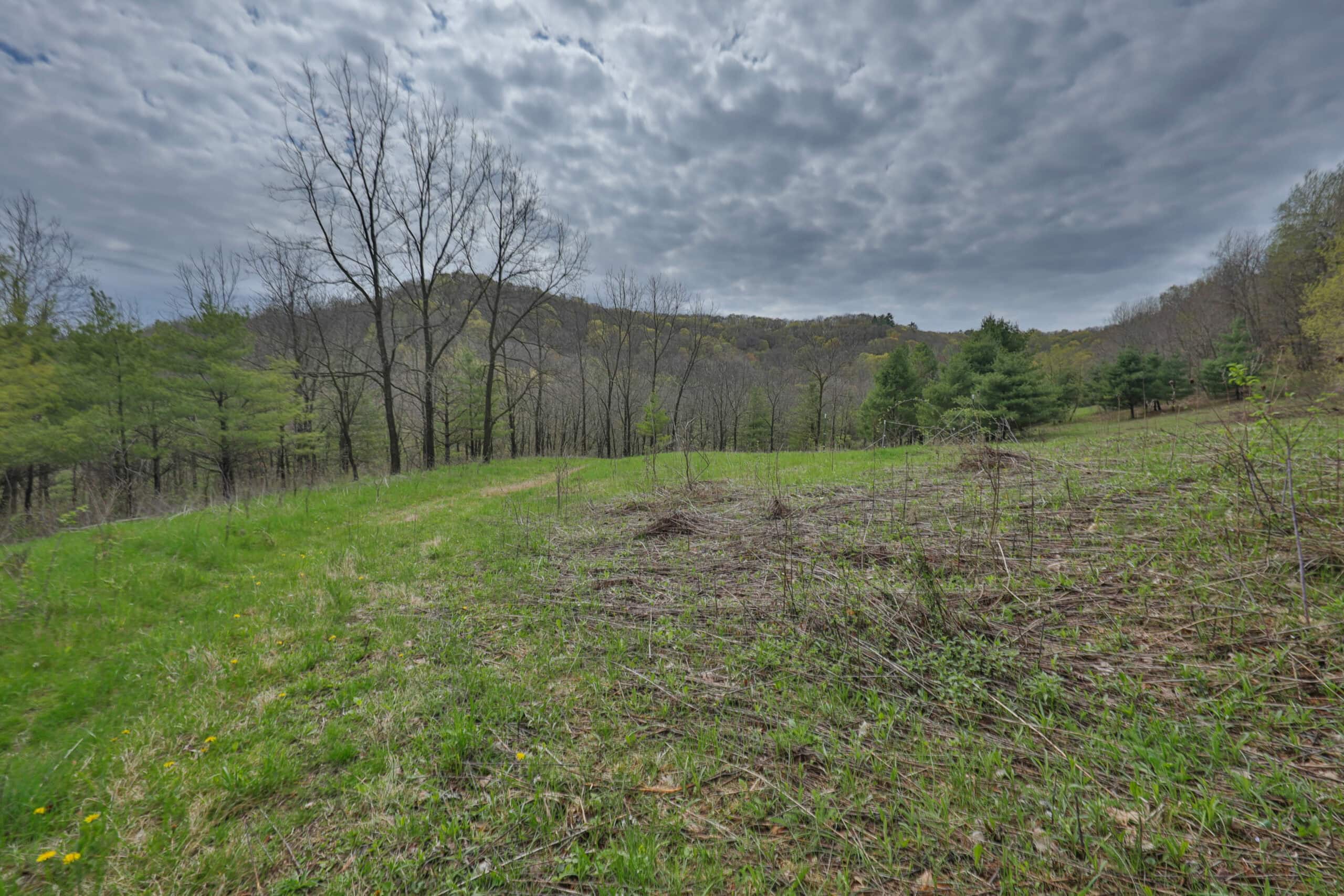 Hunting Land for sale in Richland County, Wisconsin UC Hunting Properties