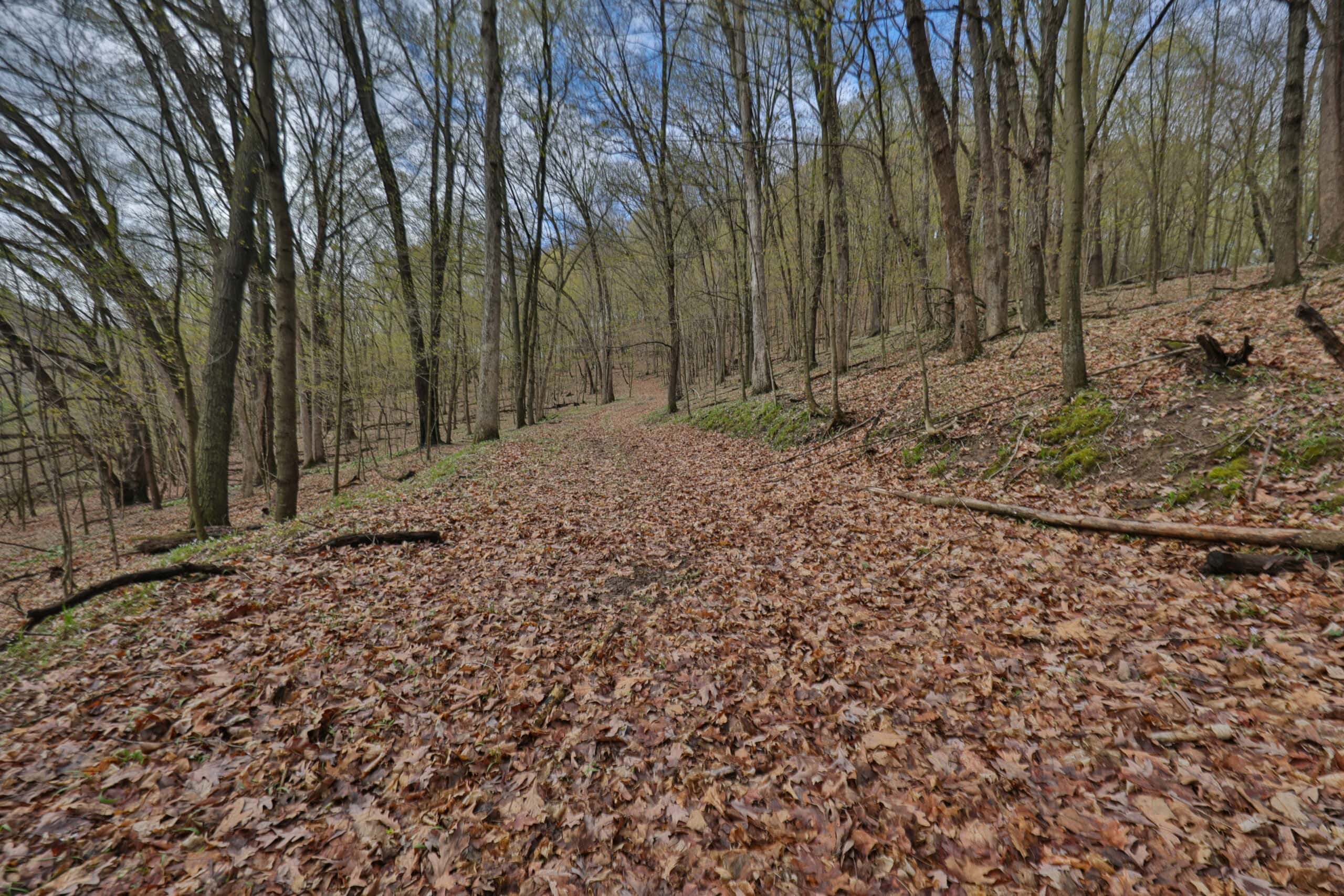 Hunting Land for sale in Richland County, Wisconsin UC Hunting Properties