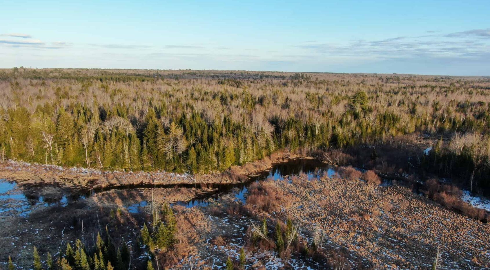 Maine Land for Sale Near Bangor UC Hunting Properties