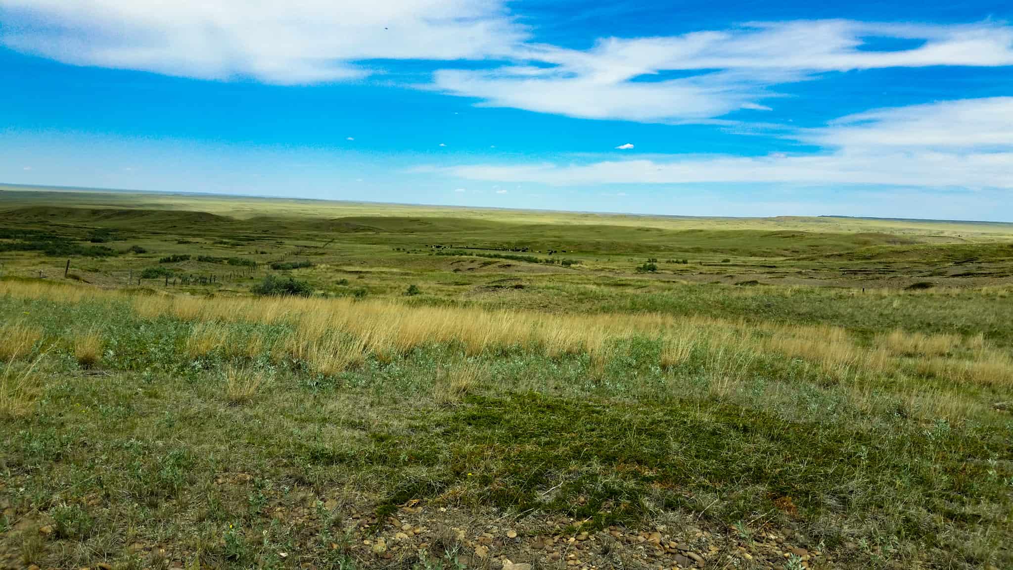 Northeastern Montana Working Cattle Ranch-Mule Deer Hunting Property