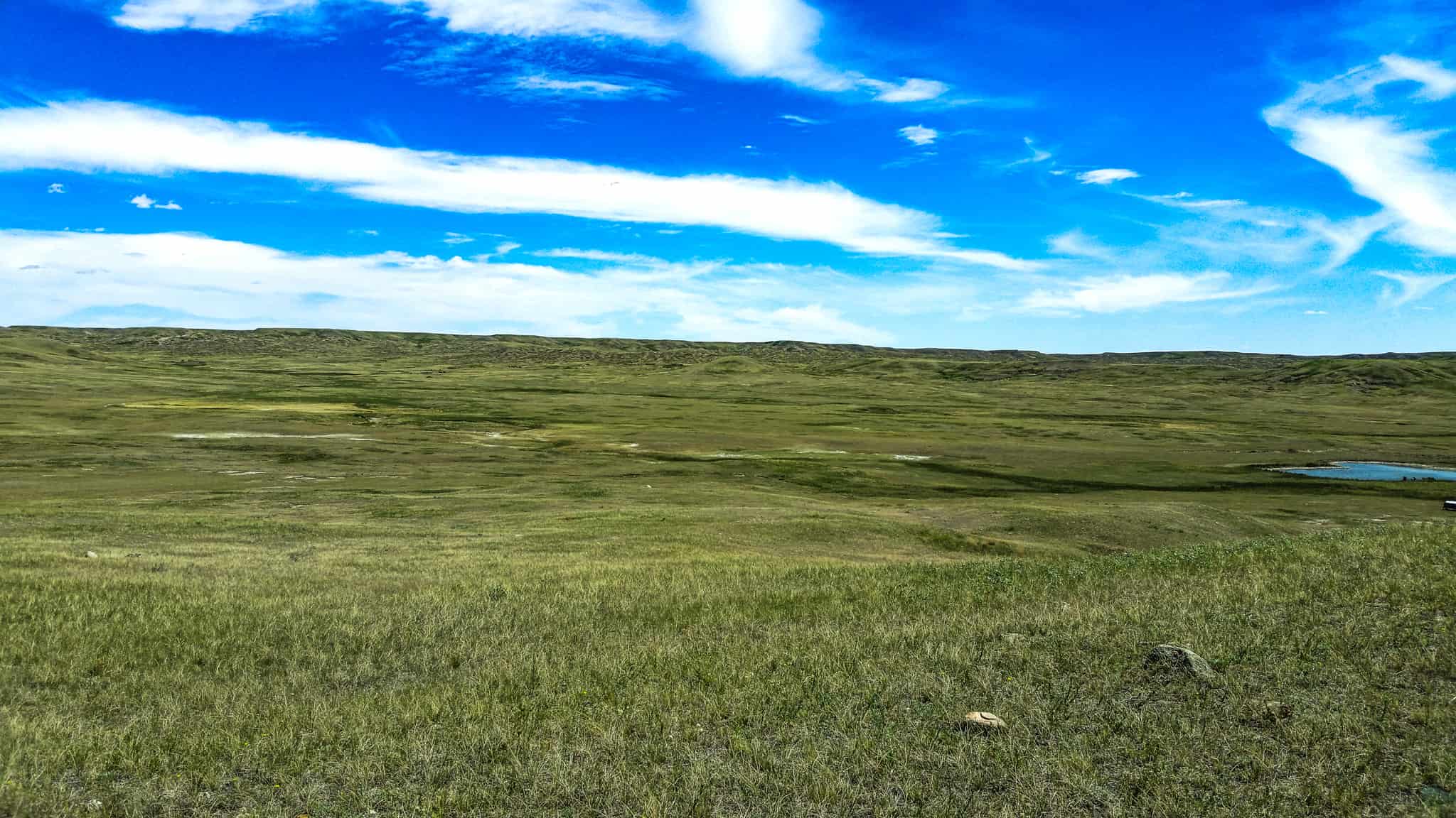 Northeastern Montana Working Cattle Ranch-Mule Deer Hunting Property