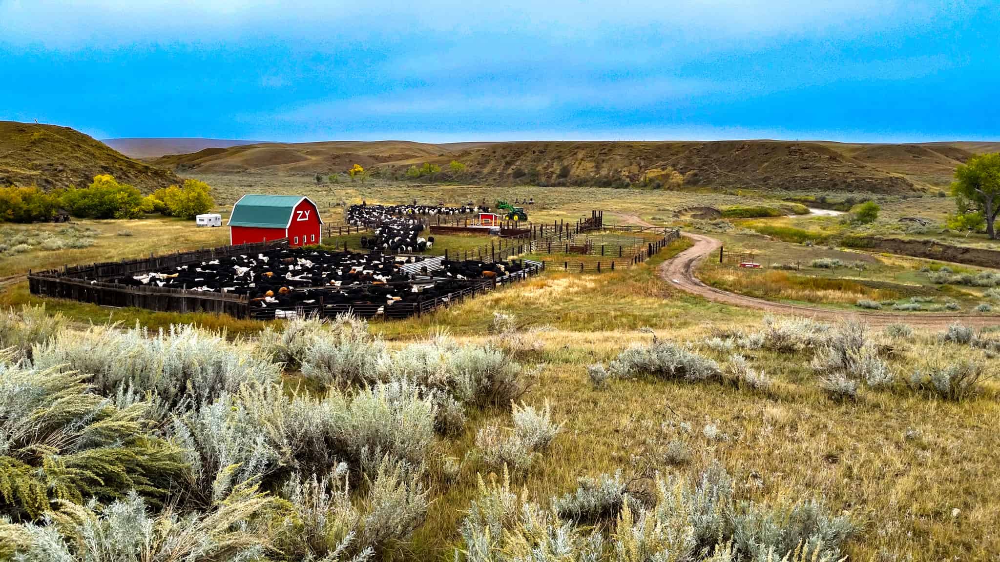 Northeastern Montana Working Cattle Ranch-Mule Deer Hunting Property
