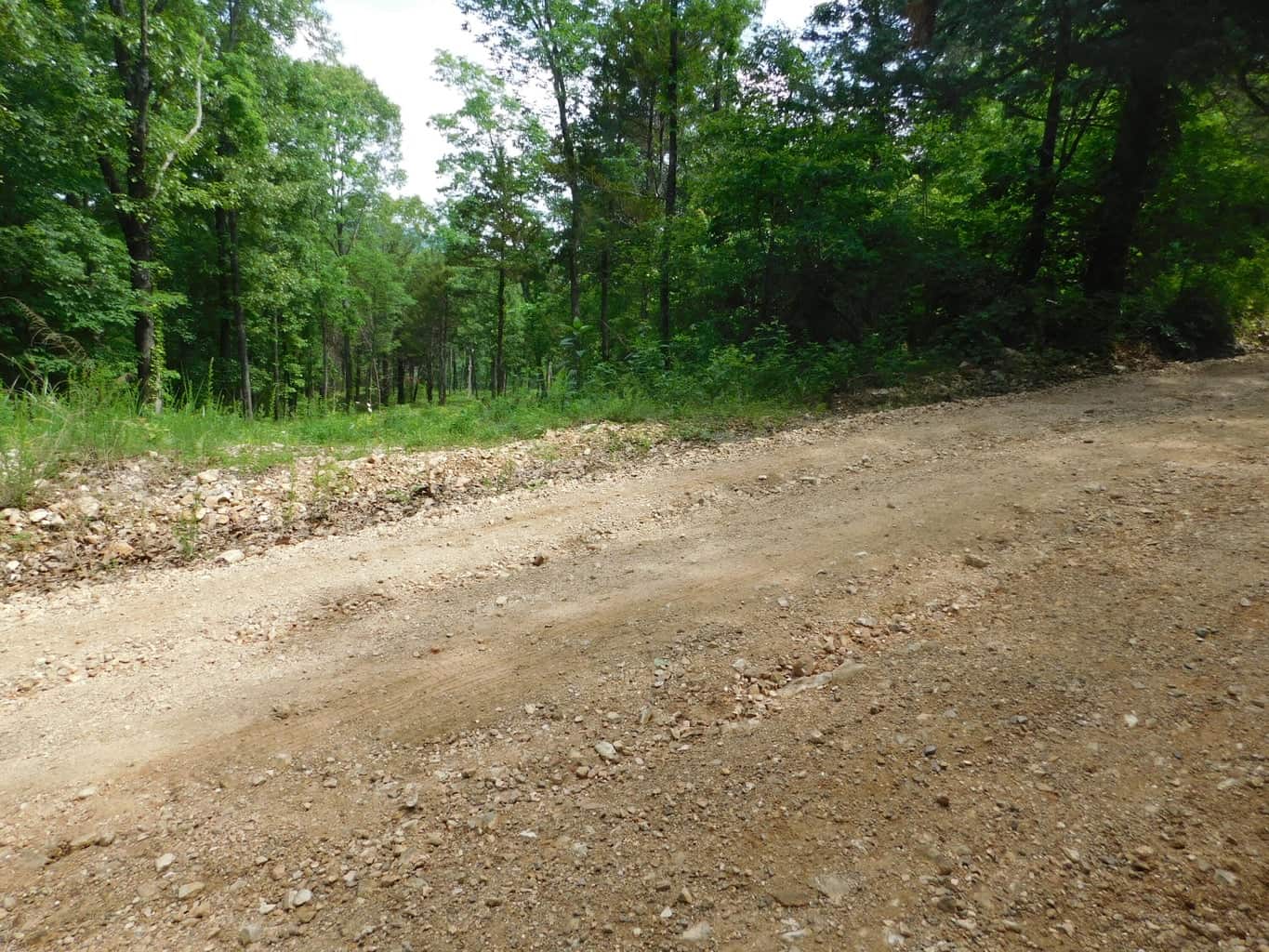 Acreage with Building Site Bordering County Road & Near Buffalo National River Boundary in Newton County, Arkansas