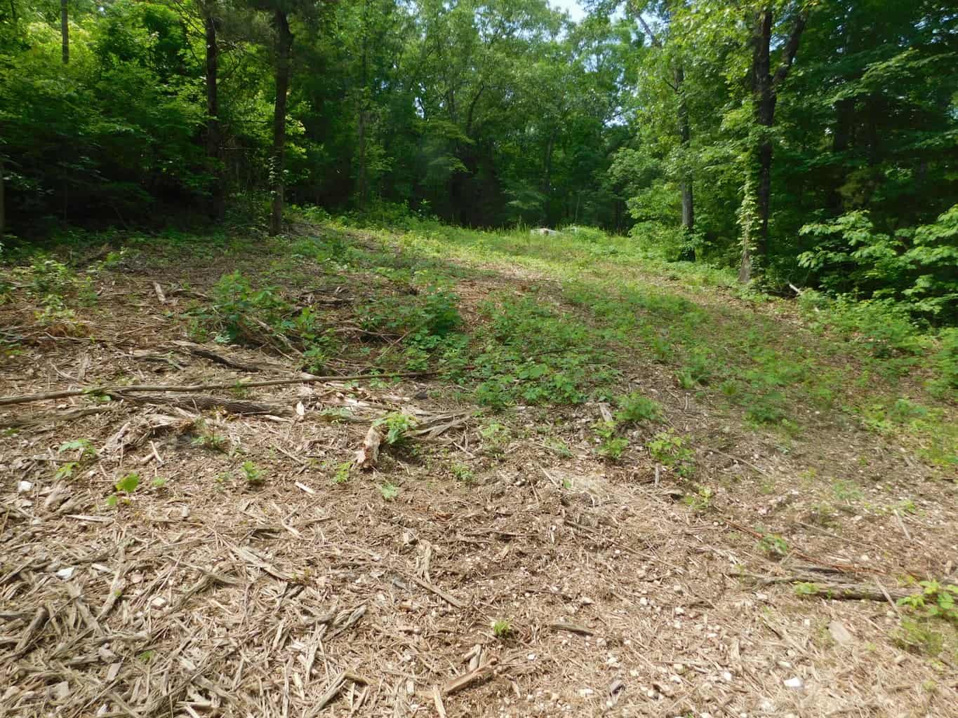 Acreage with Building Site Bordering County Road & Near Buffalo National River Boundary in Newton County, Arkansas