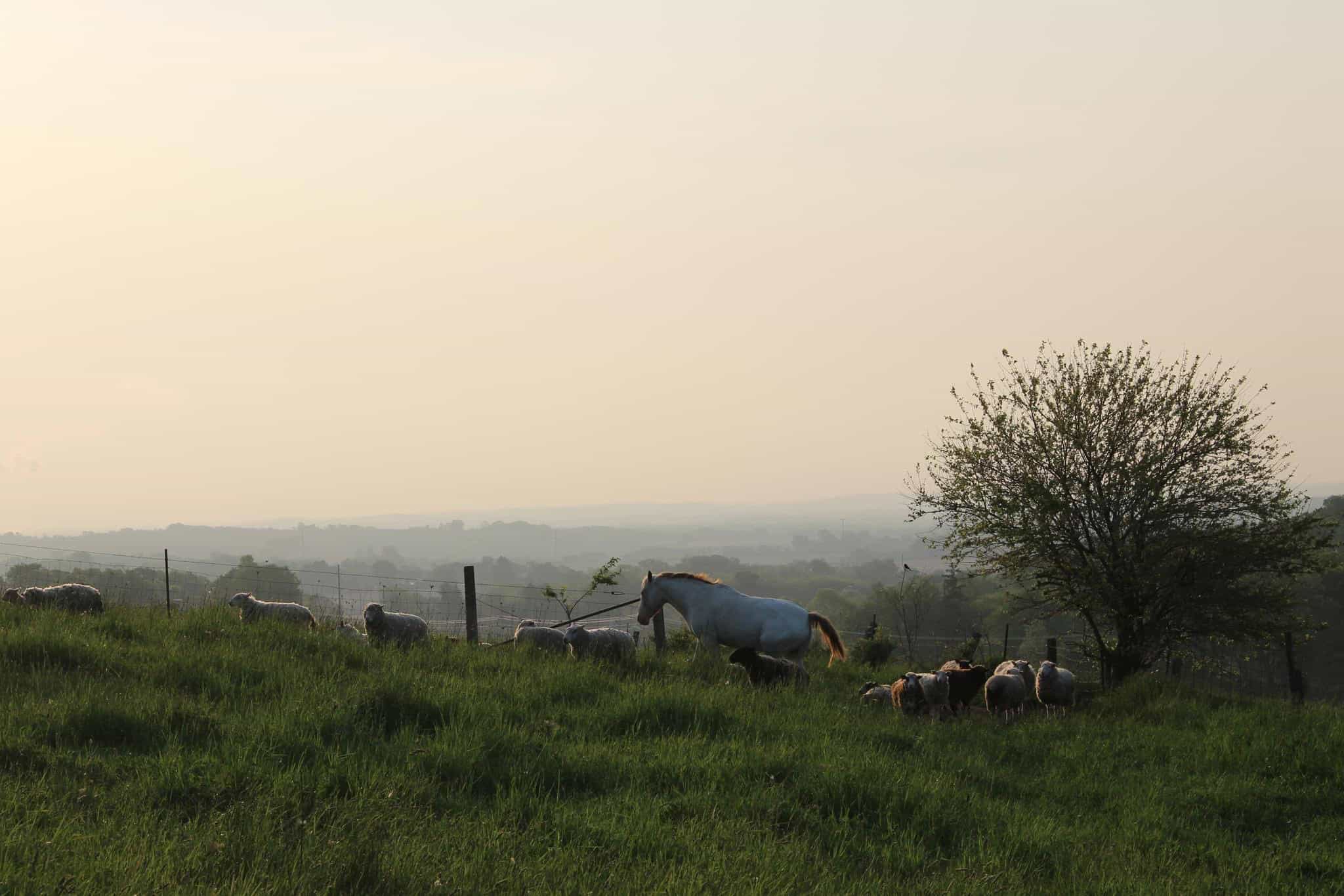 Columbia County, Wisconsin, MultiParcel Real Estate Auction UC