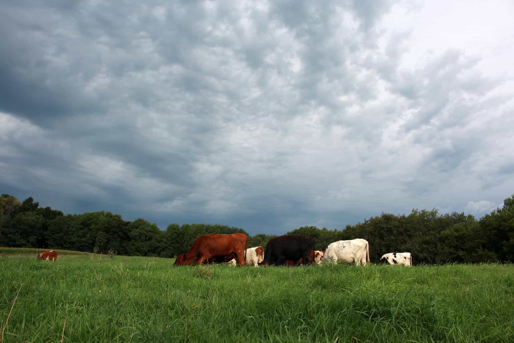 Columbia County, Wisconsin, MultiParcel Real Estate Auction UC
