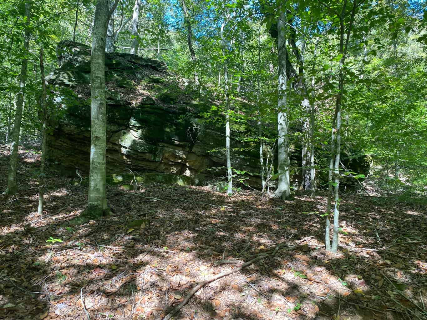 80 Acres Prime Hunting Land Borders Ozark National Forest On All Sides! Newton County, Arkansas