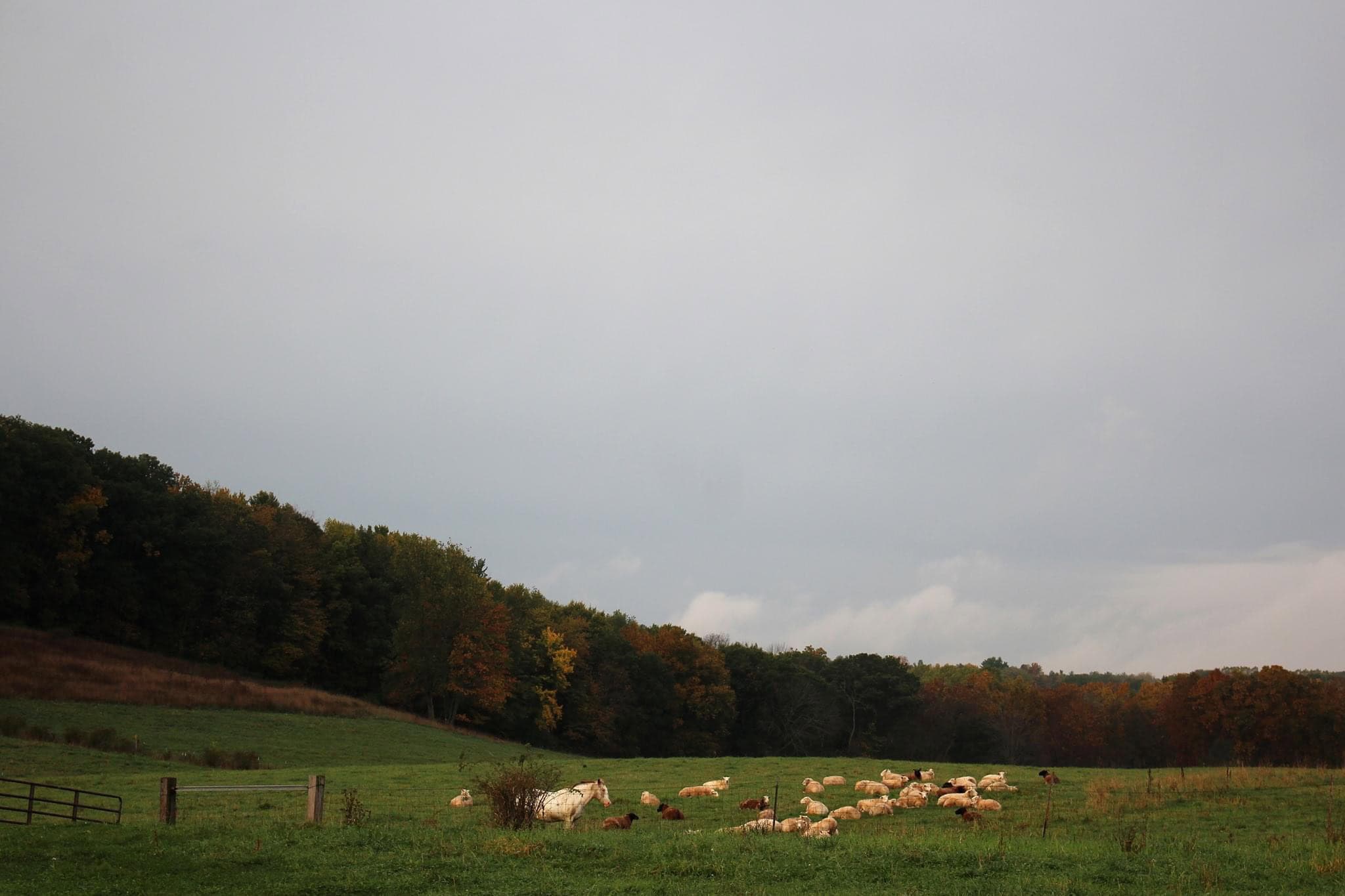 Columbia County, Wisconsin, MultiParcel Real Estate Auction UC