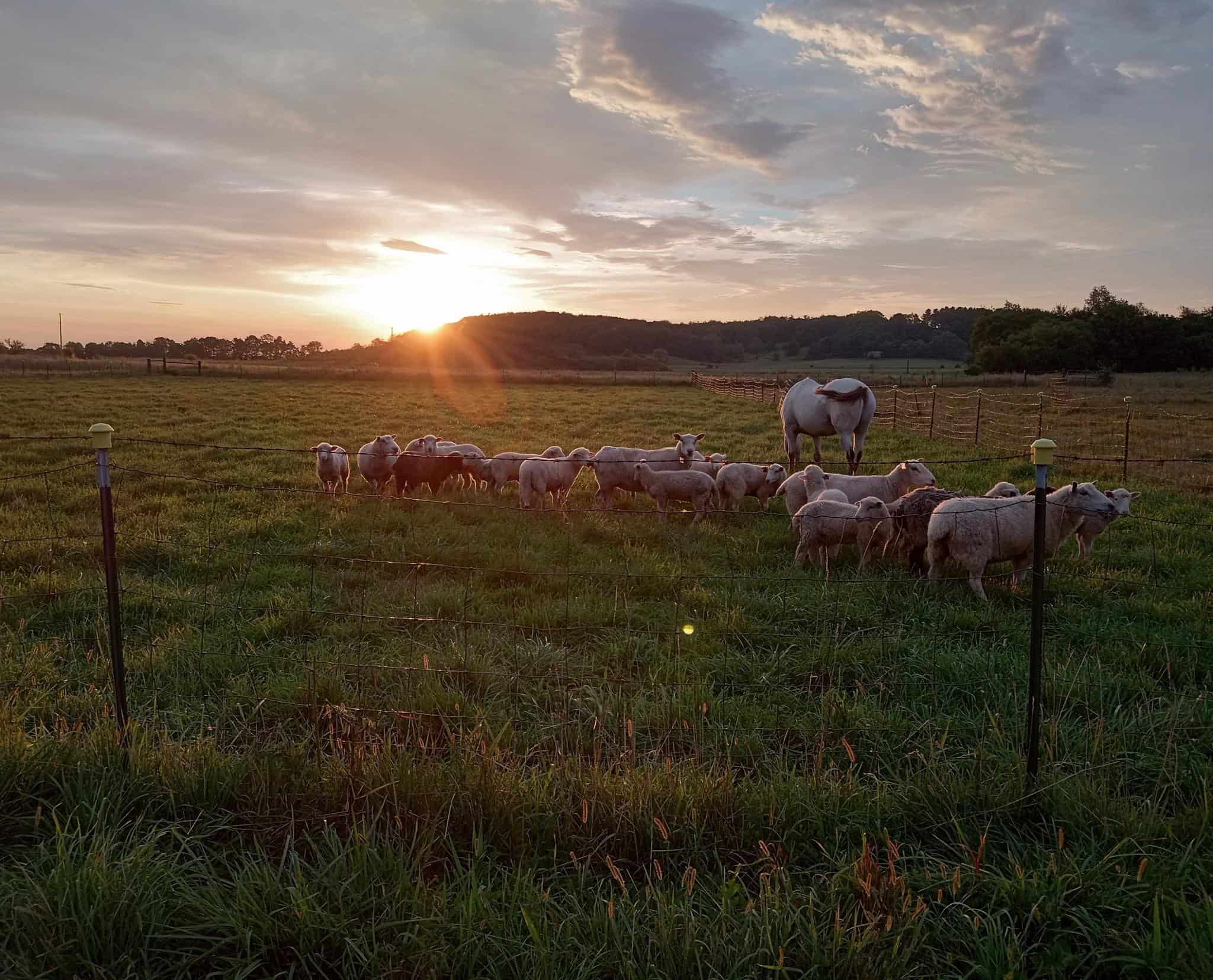 Columbia County, Wisconsin, MultiParcel Real Estate Auction UC