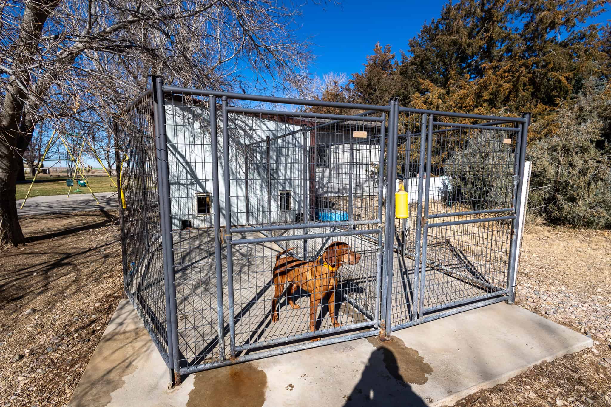 Colorado Shooting Preserve, Event Center, Sporting Clays Club for Sale