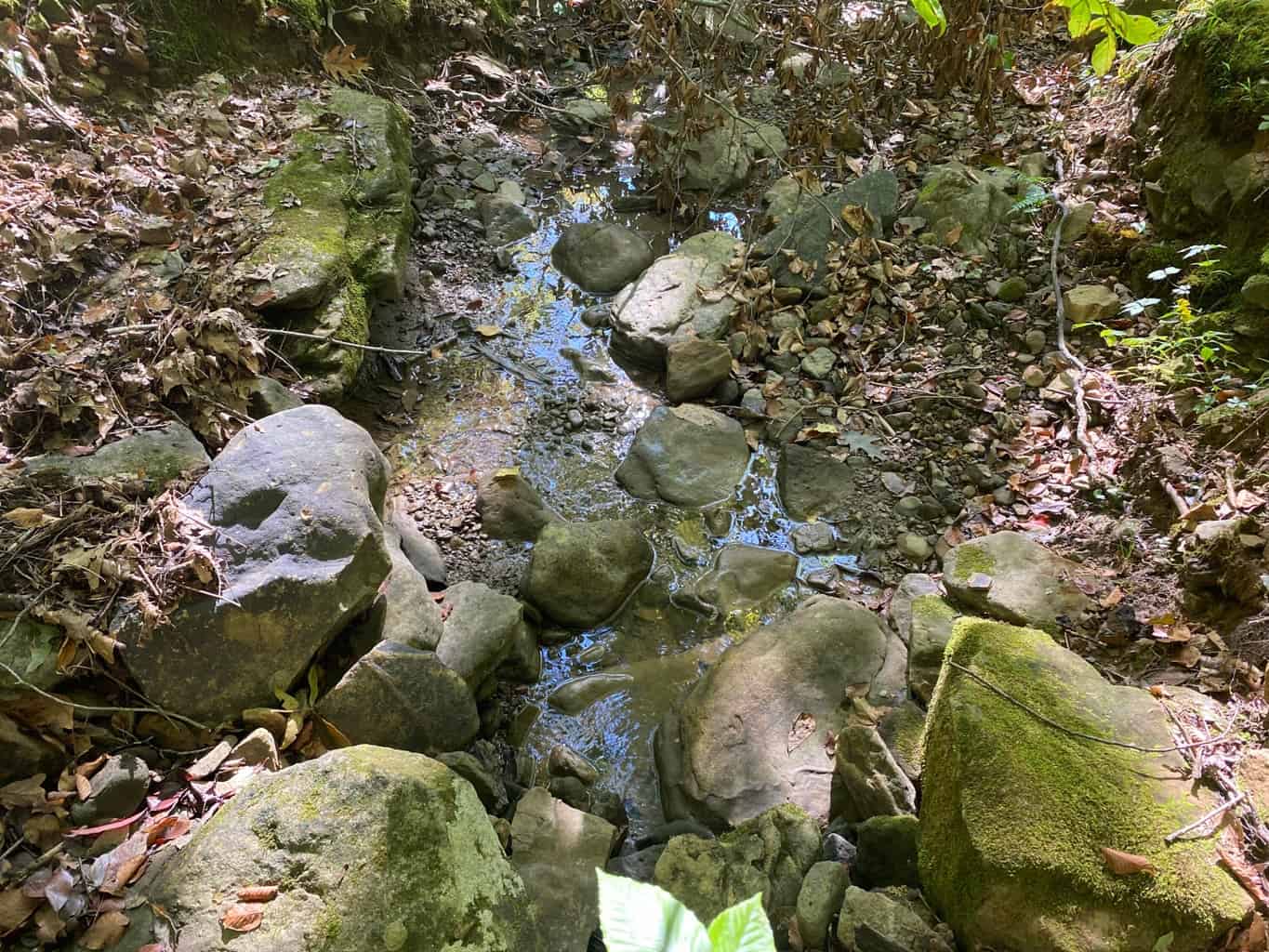 80 Acres Prime Hunting Land Borders Ozark National Forest On All Sides! Newton County, Arkansas