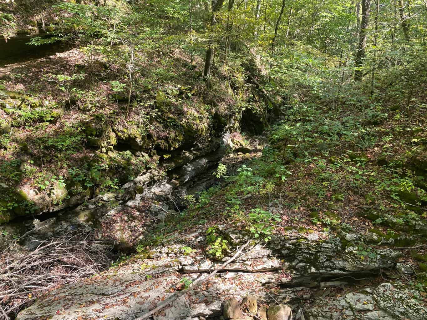 80 Acres Prime Hunting Land Borders Ozark National Forest On All Sides! Newton County, Arkansas
