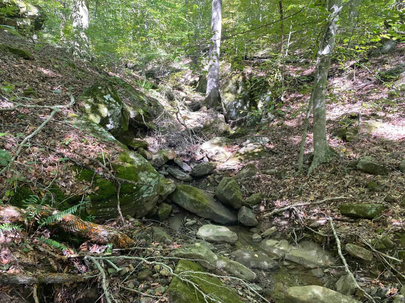 80 Acres Prime Hunting Land Borders Ozark National Forest On All Sides! Newton County, Arkansas